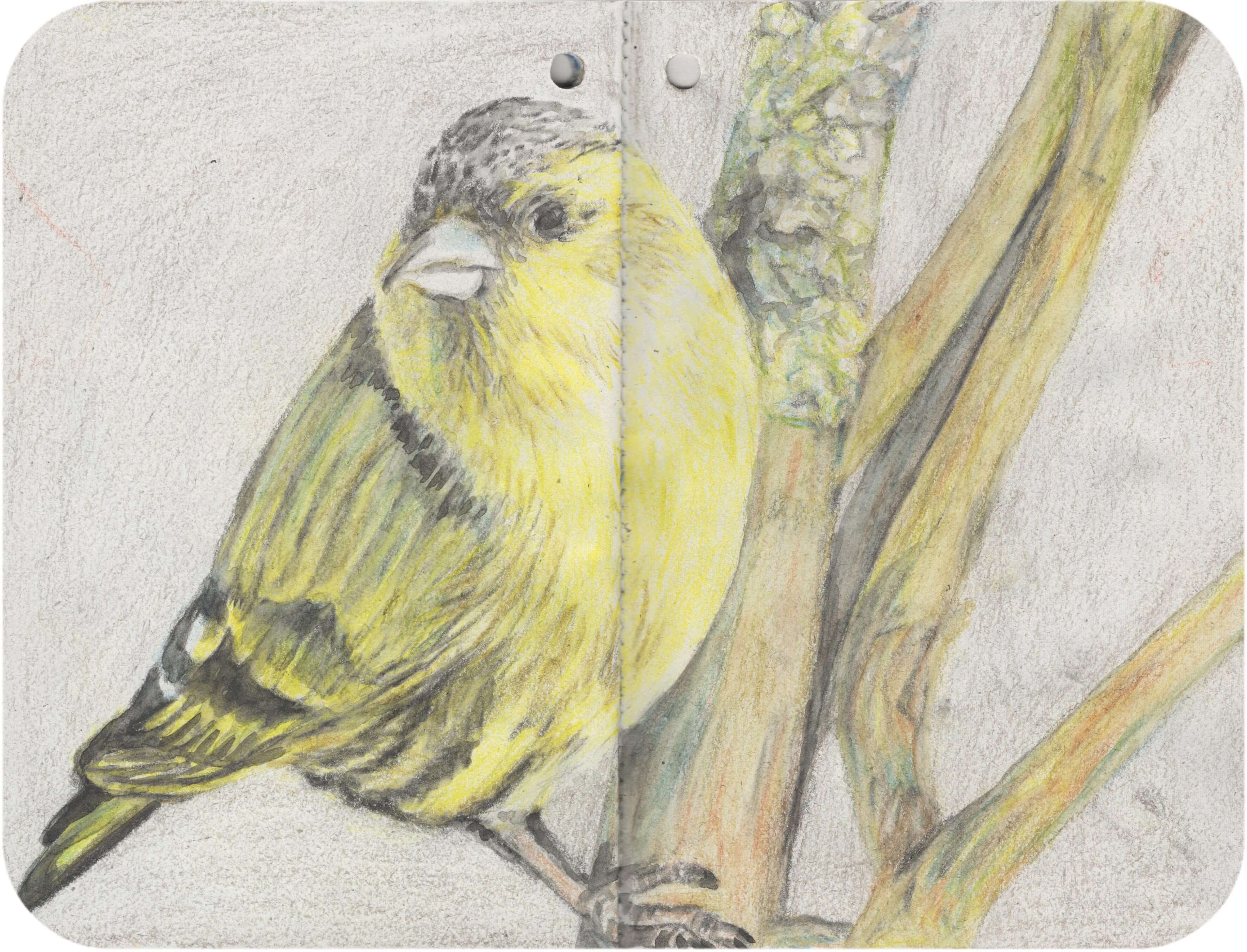 Titelbild von Sketchbook 00400