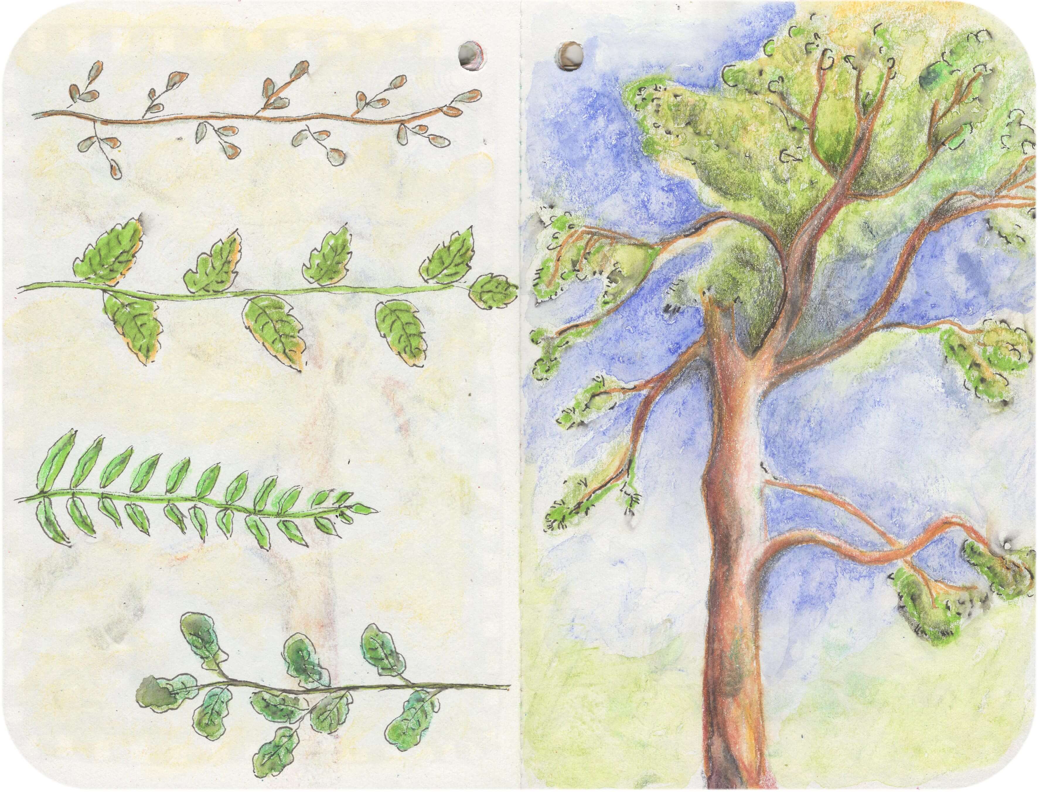 Titelbild von Sketchbook 00402