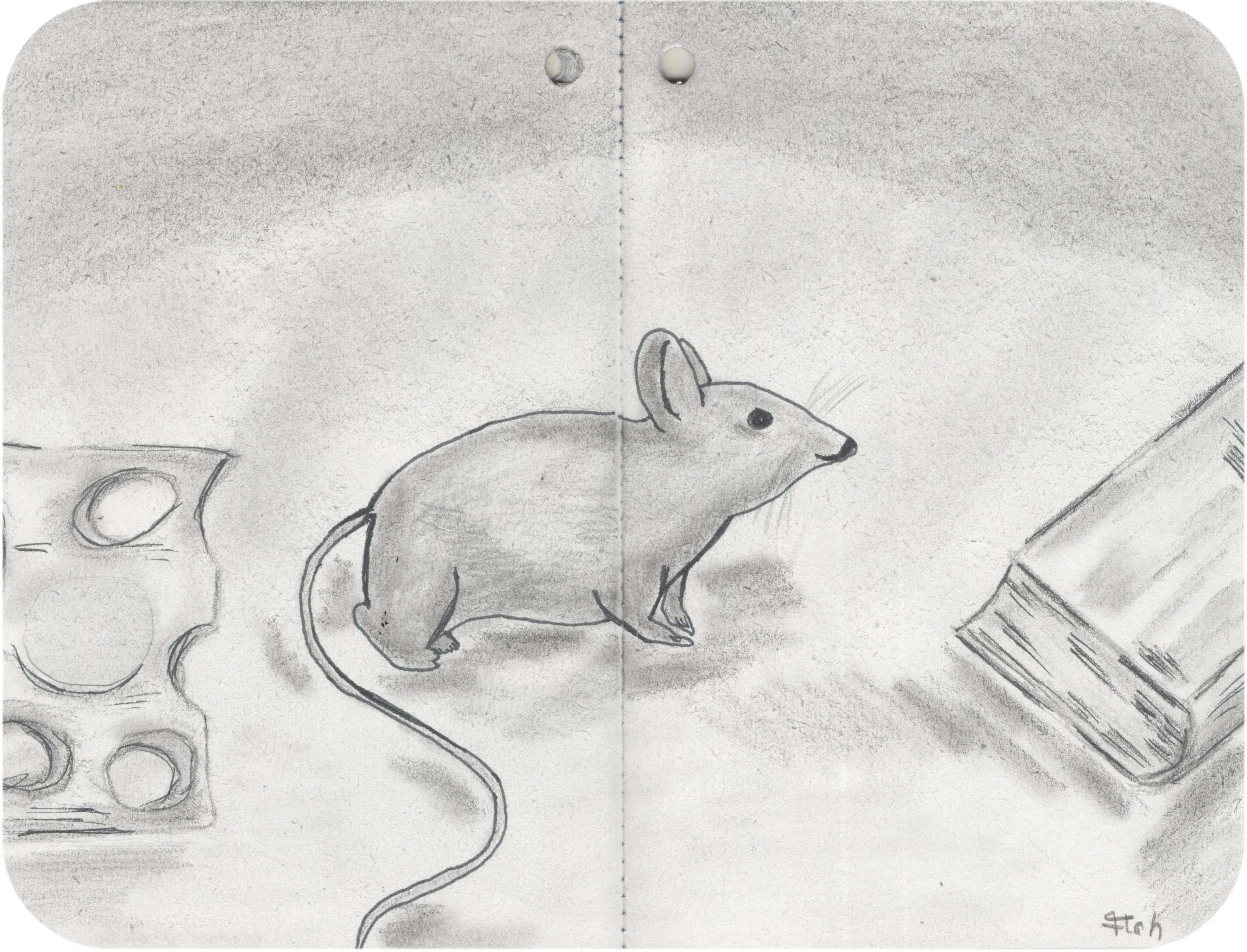 Titelbild von Sketchbook 00403